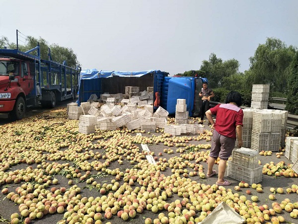 1530673339129350.jpg 微信图片_201807031143581.jpg