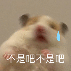 1752718345435116.png