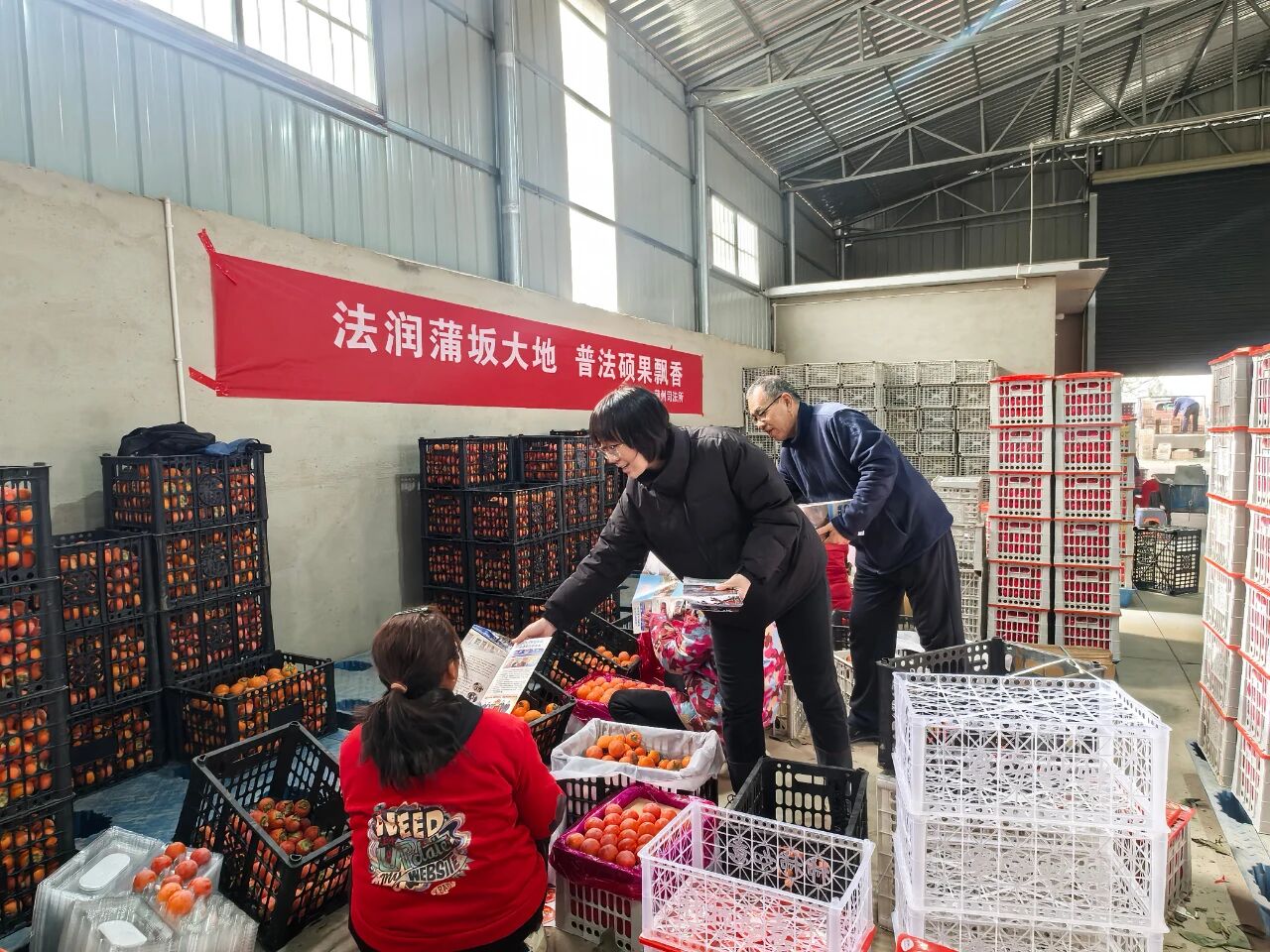 1764295861451505.jpg 1764295861451505.jpg