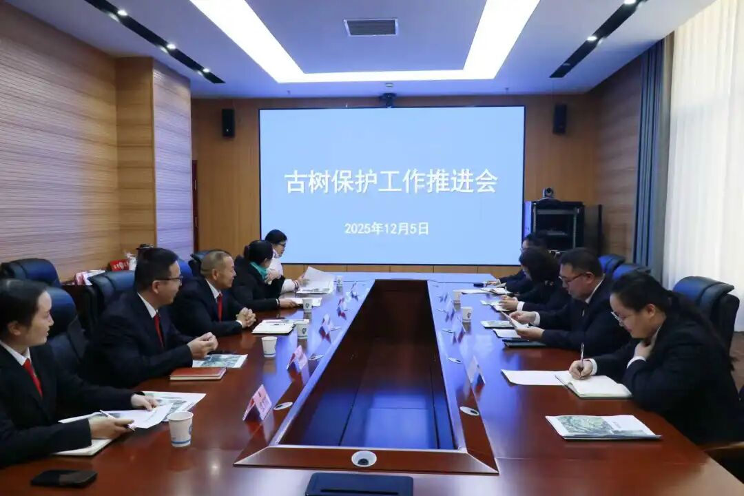 1765248746311431.jpg 1765248746311431.jpg