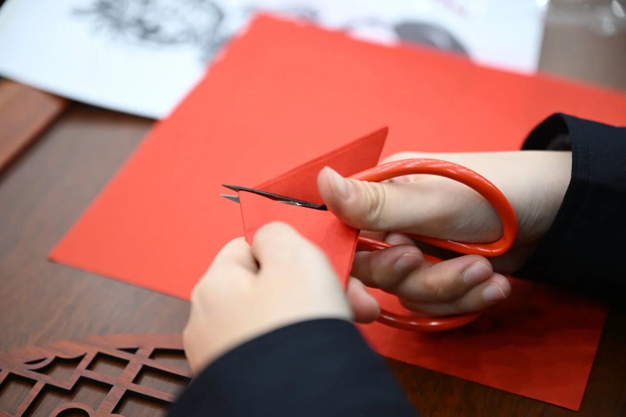 1767577908696208.jpg 1767577908696208.jpg