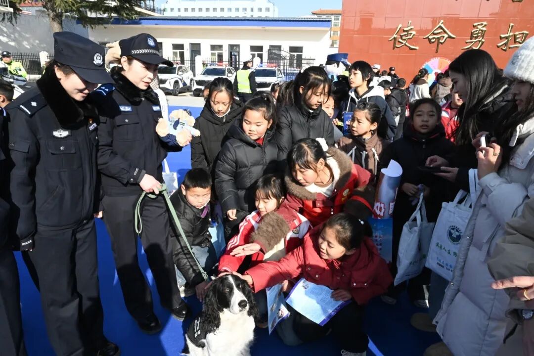 1767839113854834.jpg 1767839113854834.jpg