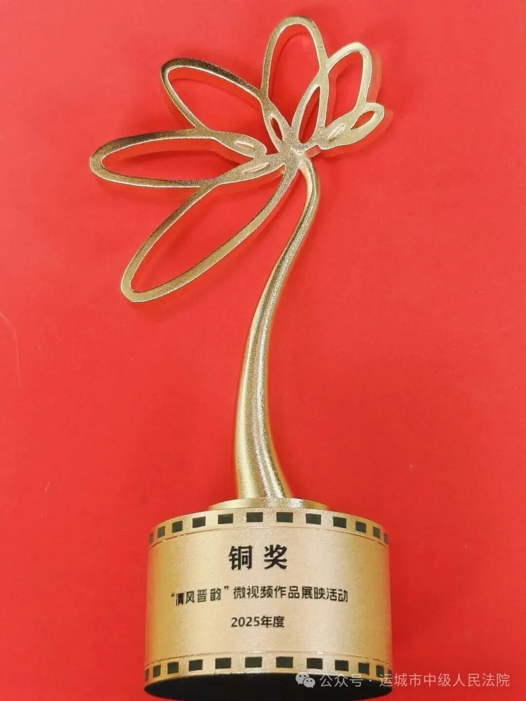 1769738827661650.jpg 1769738827661650.jpg