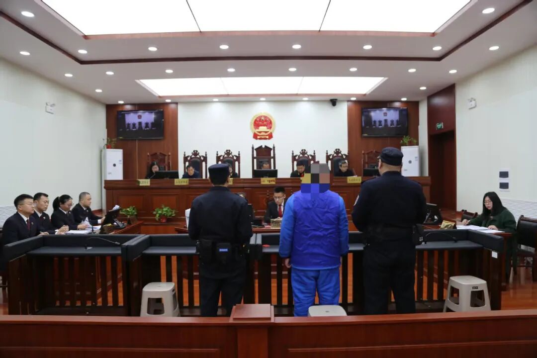 1773712494166957.jpg 1773712494166957.jpg