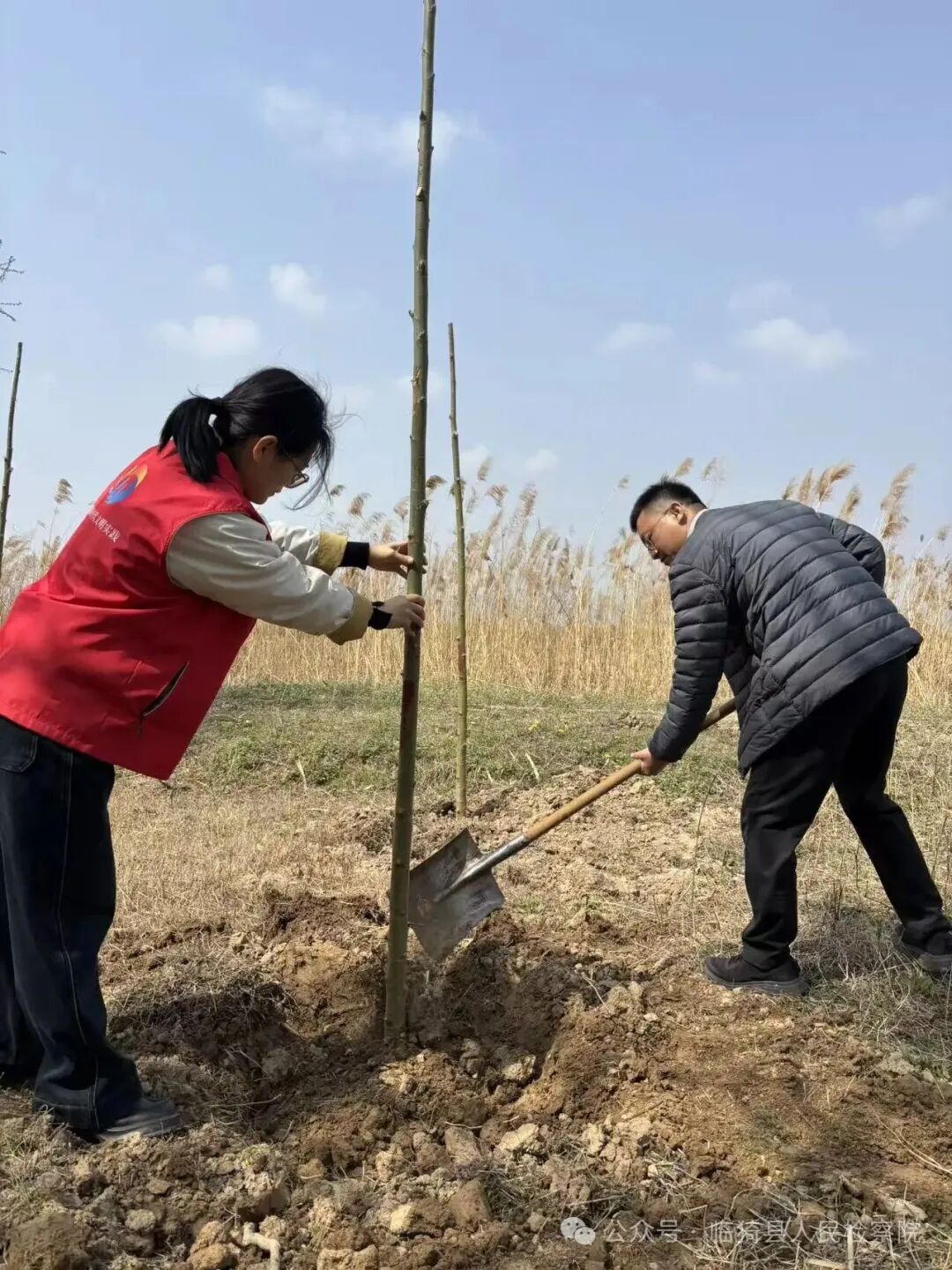 1774489561668345.jpg 1774489561668345.jpg