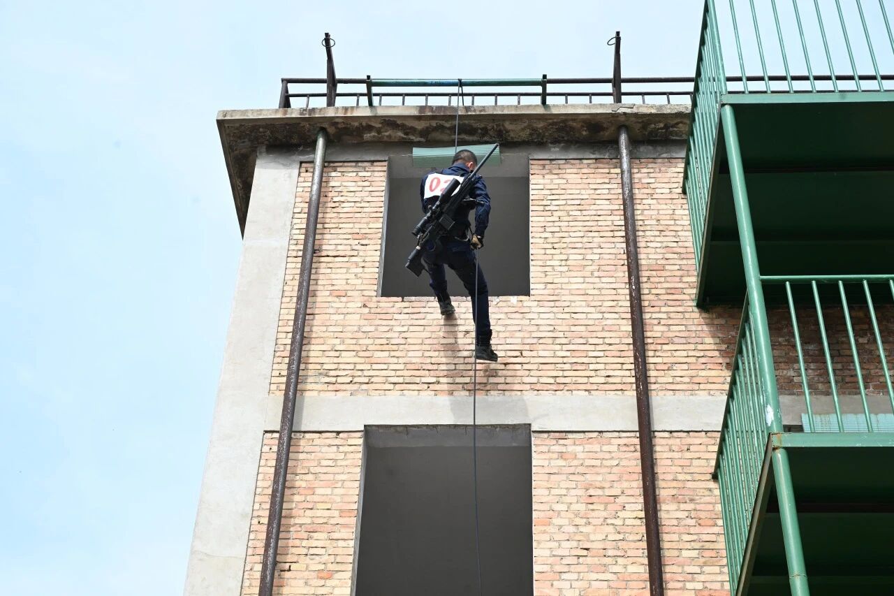 1774839858784455.jpg 1774839858784455.jpg