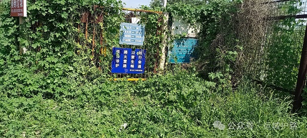 1781142619797736.jpg 微信图片_2026-06-11_094905_208.jpg