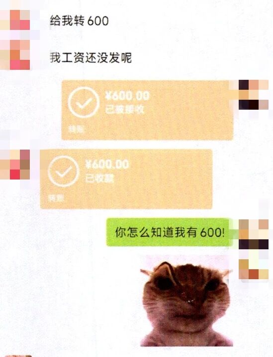 1783650238122260.jpg