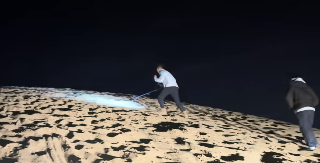 1791592666392474.png