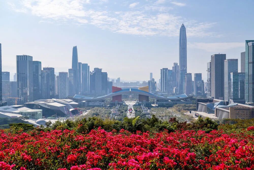 图片 图片
